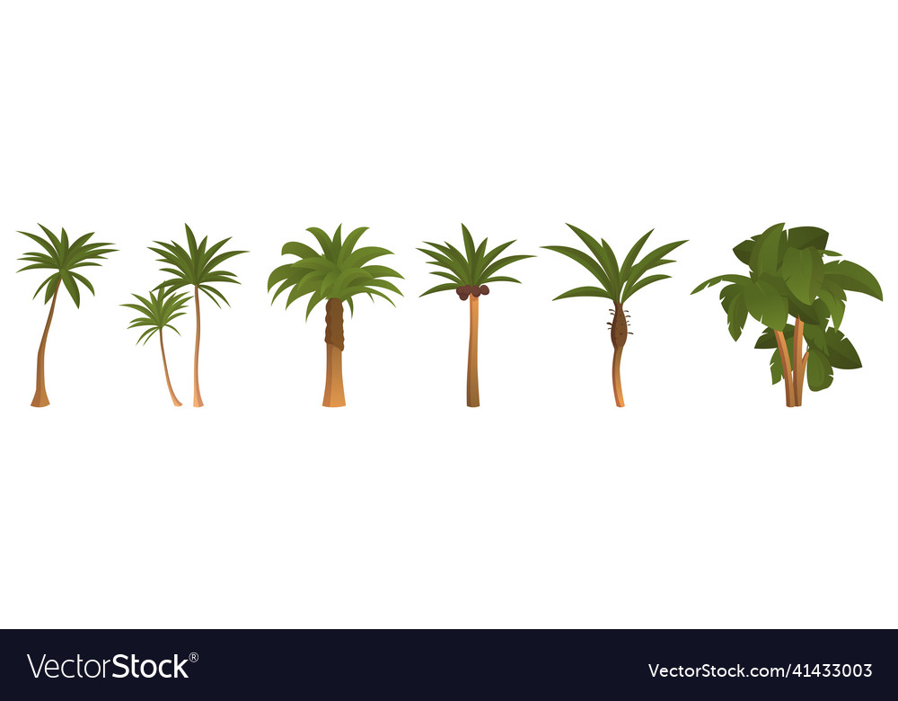 Set of 6 pcs palm trees on a white background