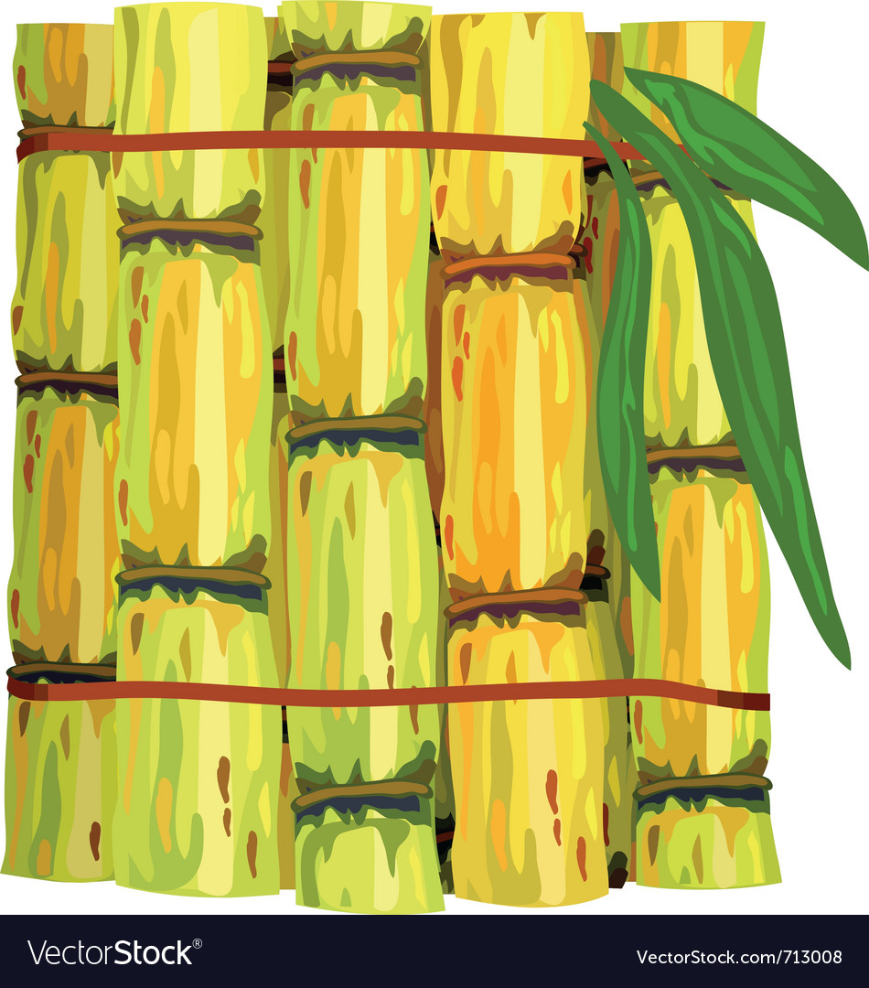 Sugar Cane Clip Art