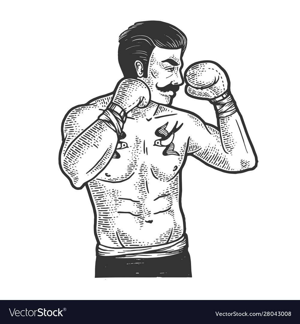 Vintage boxer sketch