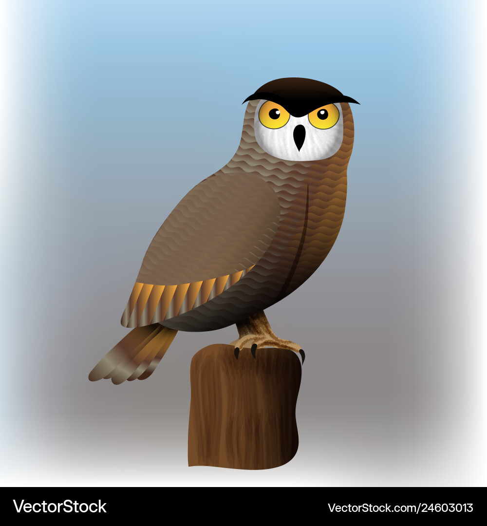 Owl bird Royalty Free Vector Image - VectorStock