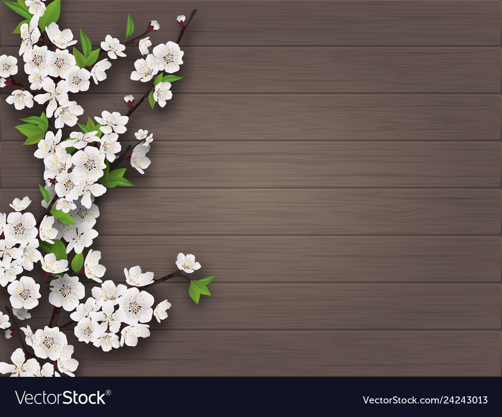 Spring blooming branch on old wooden background vector image Spring blooming branch on old wooden background