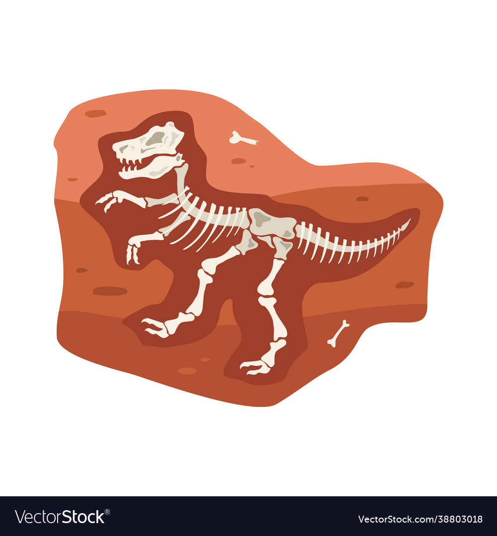 Dinosaur skeleton bones extinct animal Royalty Free Vector Dinosaur skeleton bones extinct animal Royalty Free Vector