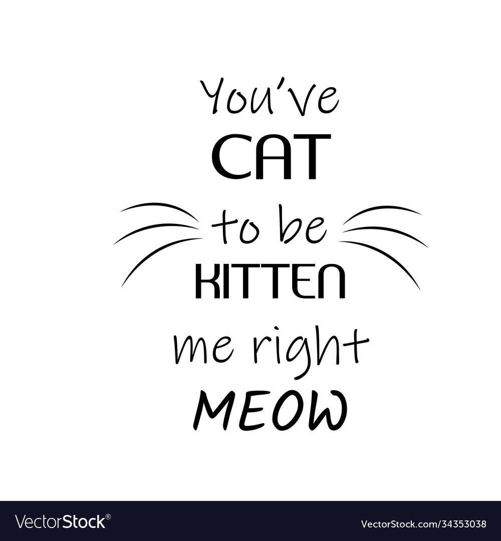 Cute cat design with meow text