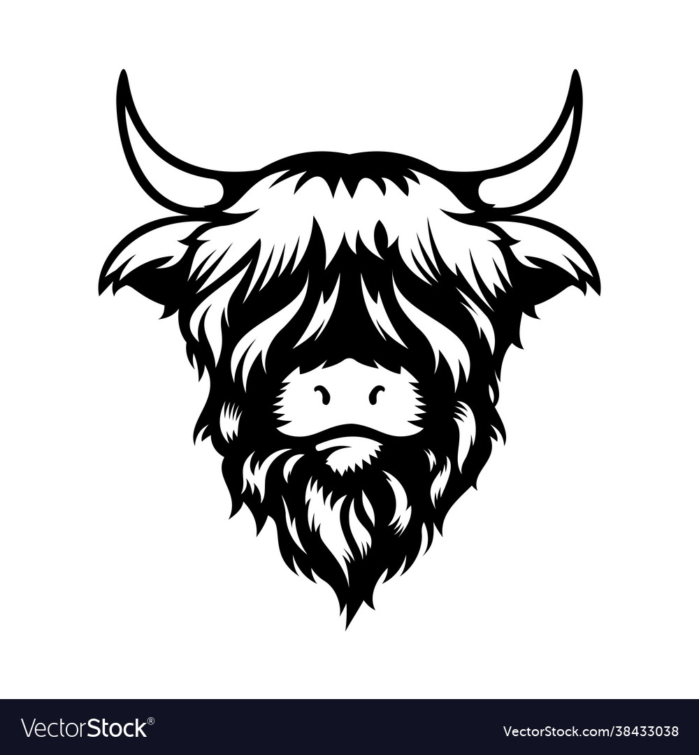 Highland cow head design on white background vector image Highland cow head design on white background