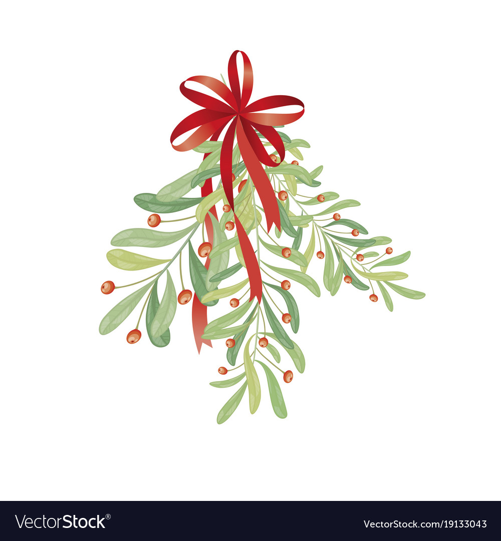 Christmas sprig mistletoe for greeting cards Vector Image