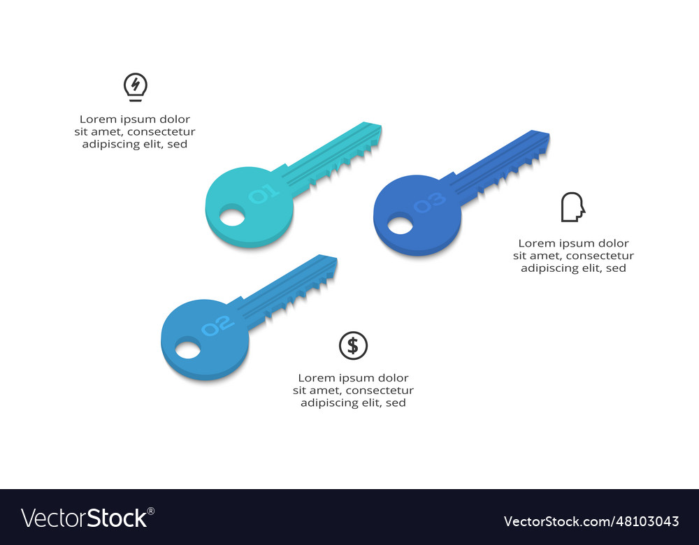 Key concept for infographic with 3 steps options Vector Image