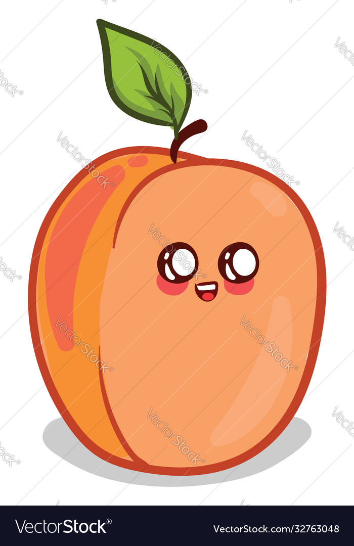 Cute apricot on white background Royalty Free Vector Image