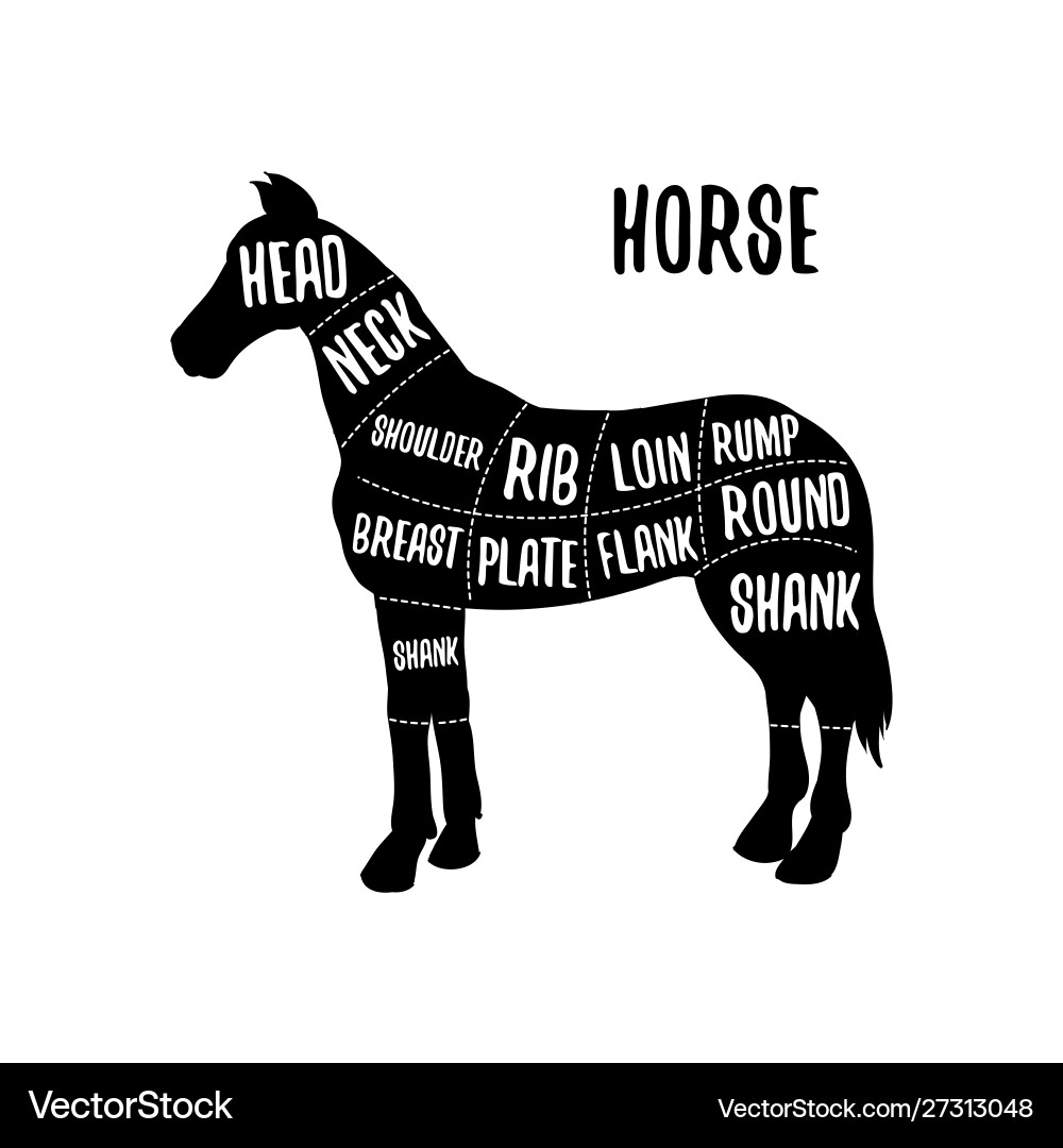 Horse meat cutting charts for Royalty Free Vector Image