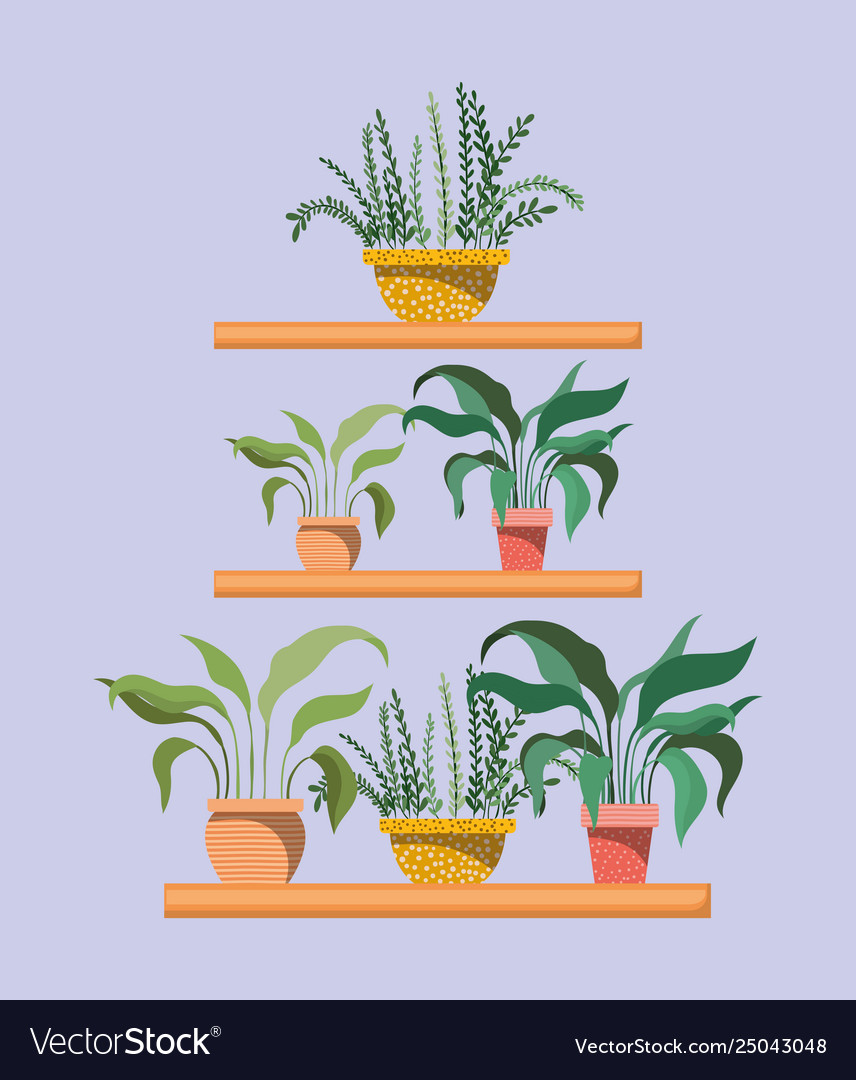 Set houseplants in shelfs