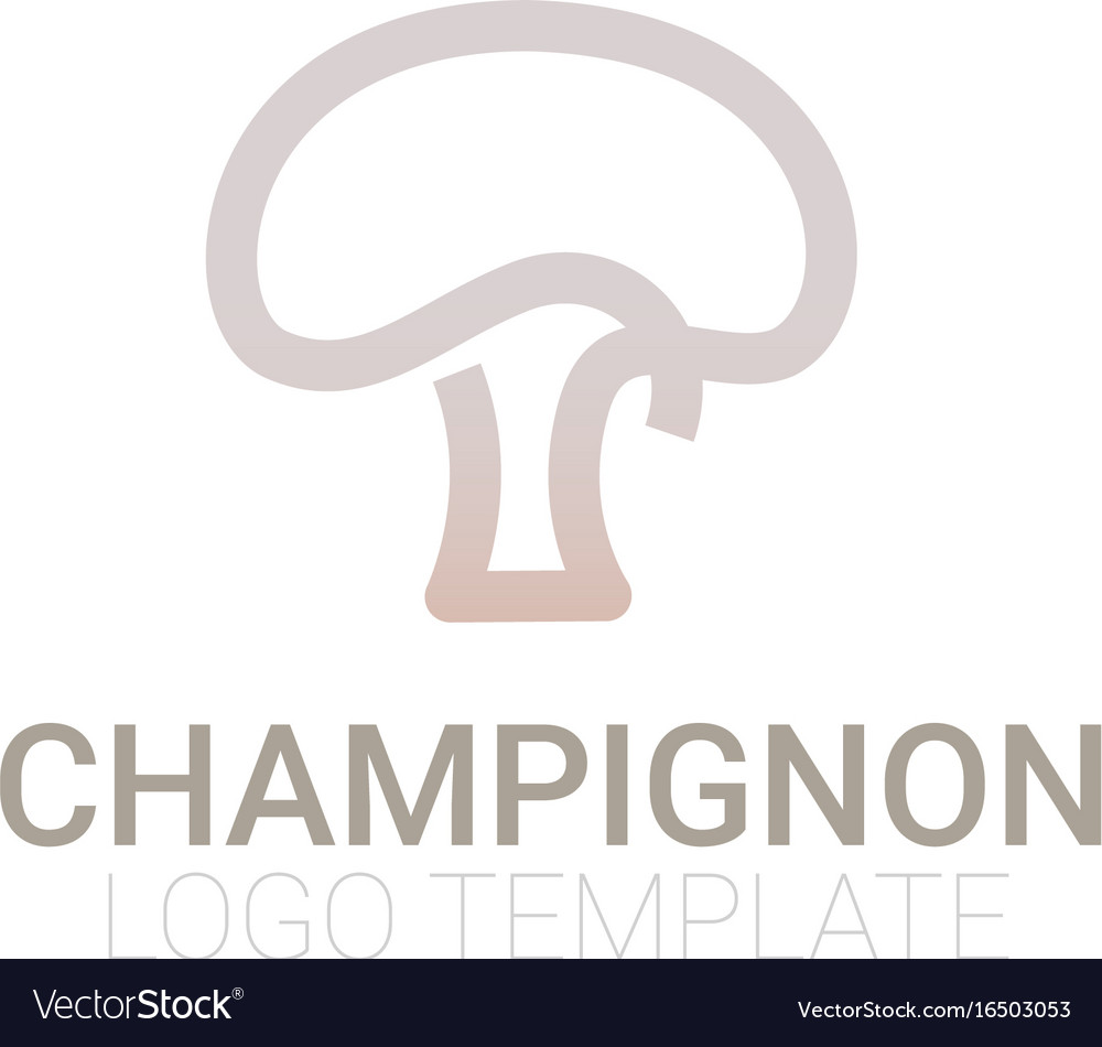 stylish mushroom symbol or logo template vector image