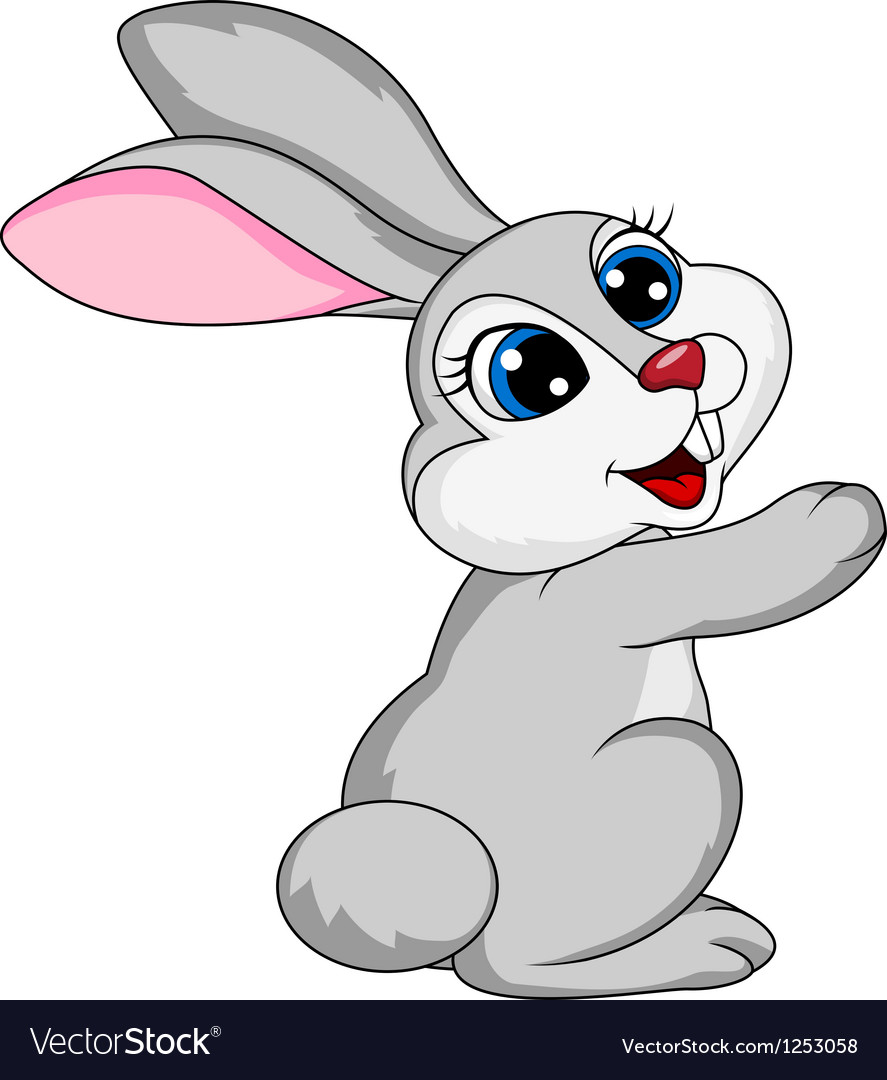 Rabbit Cartoon