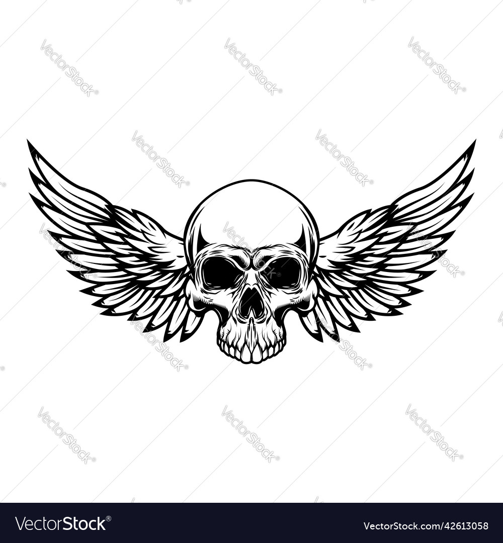 Winged skull design element for emblem sign Vector Image