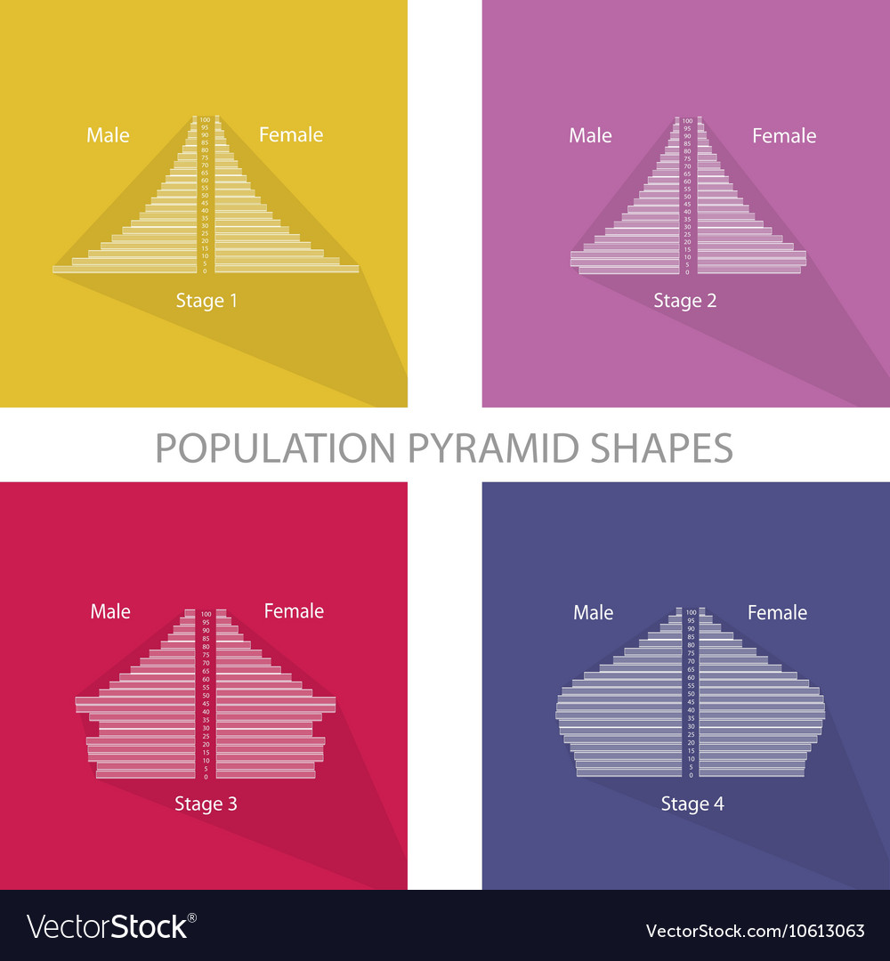 4-stages-of-population-pyramids-graphs-royalty-free-vector