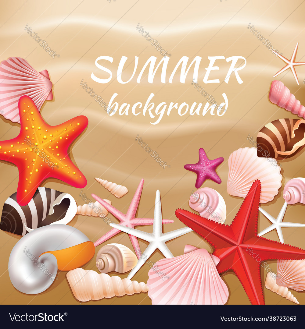 Seashell sand summer background