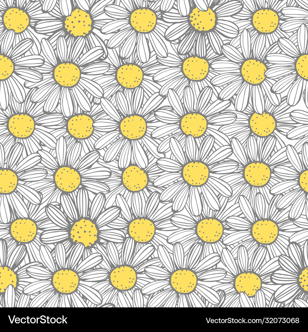 Hand drawn chamomile flowers seamless pattern Vector Image