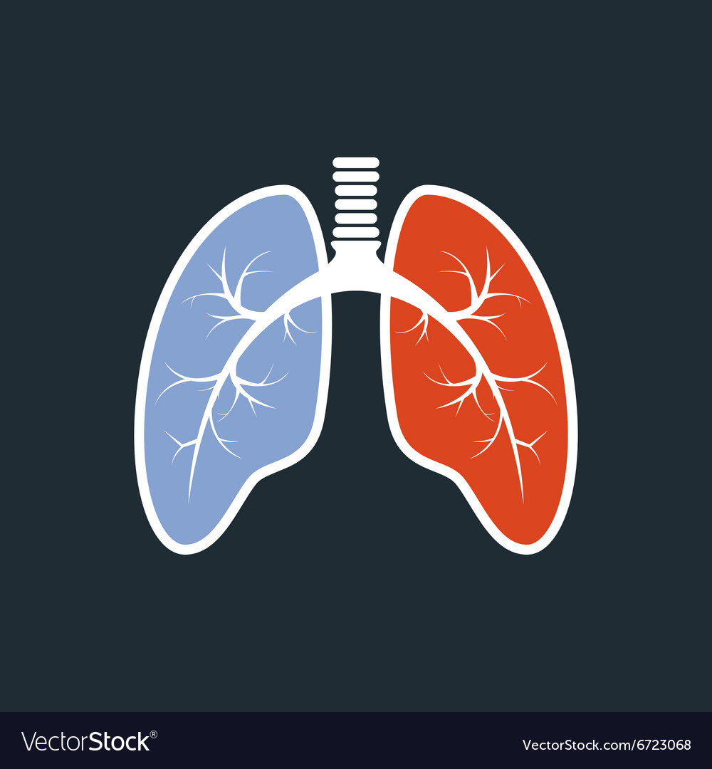 Lungs Silhouette - Fluorography Of Healthy Lungs Vector Image