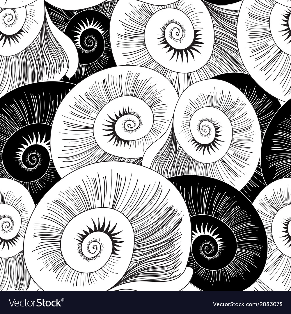 Graphic pattern of shells Royalty Free Vector Image