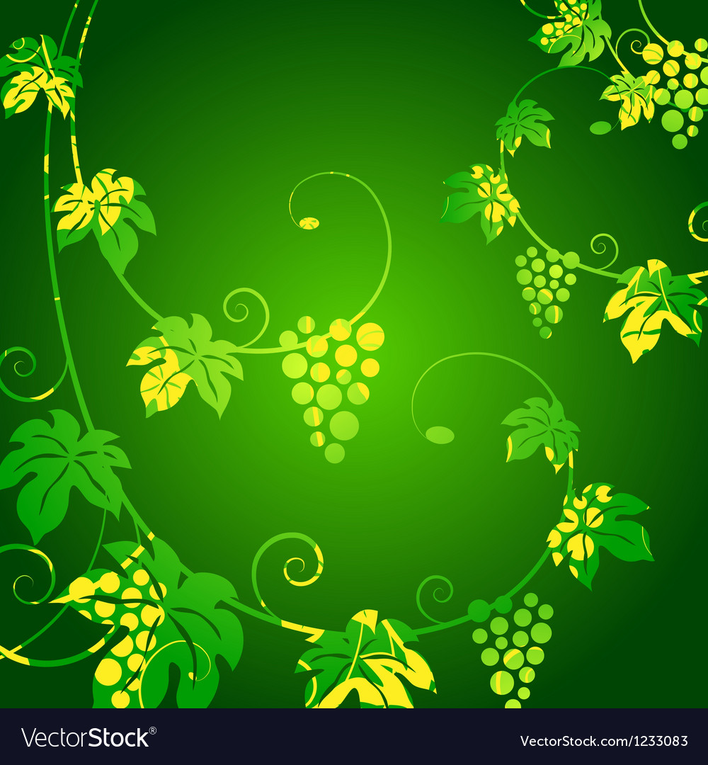 Grape vines green background