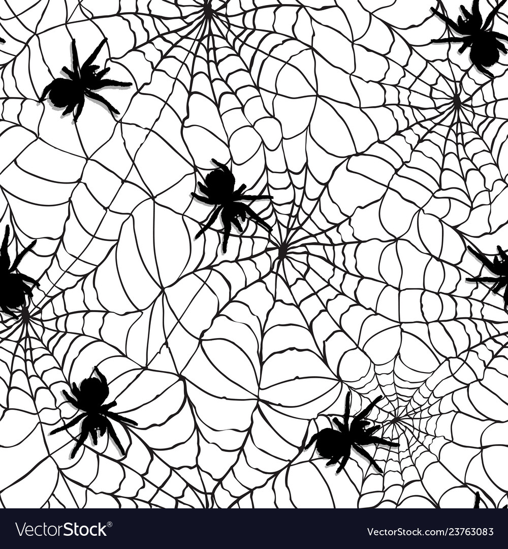 Spider web design Royalty Free Vector Image - VectorStock, spider