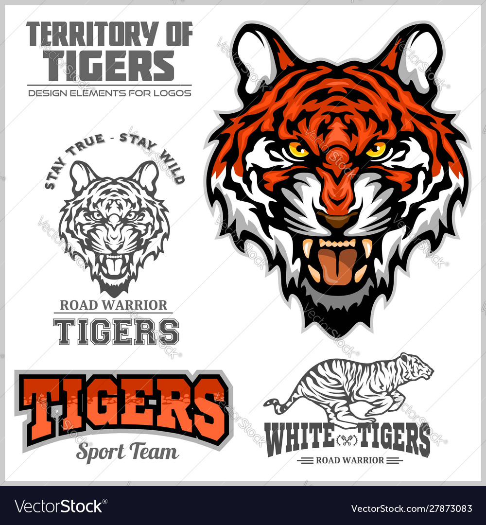 Tiger set - elements for sport team and Royalty Free Vector