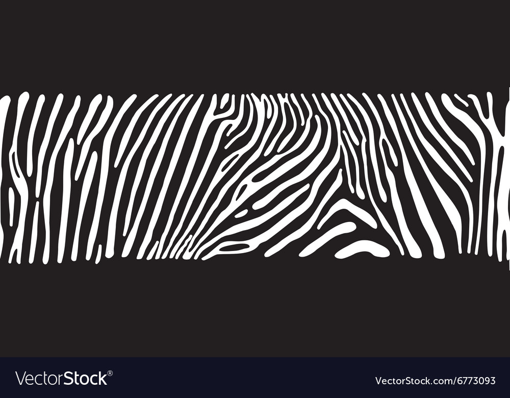 Background with zebra skin