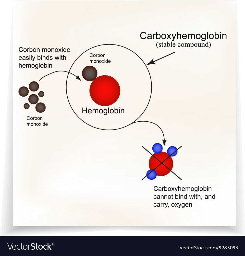 Carboxyhemoglobin Joining The Hemoglobin Carbon Vector Image