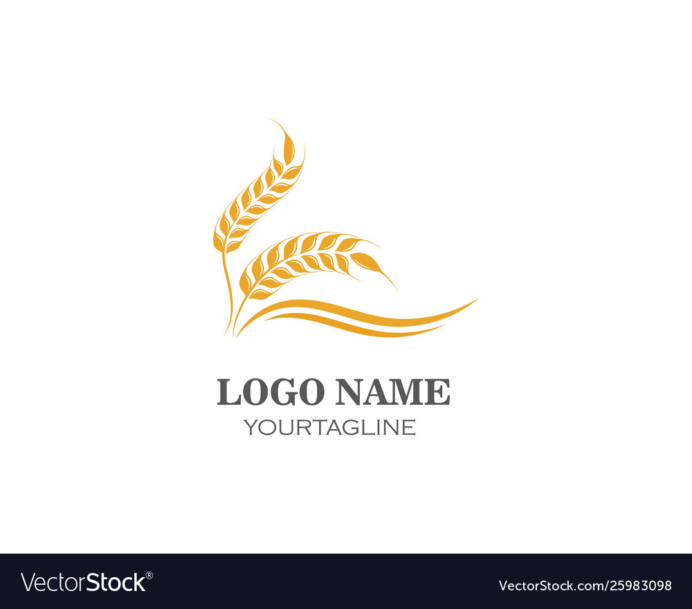 Agriculture wheat logo template icon Royalty Free Vector