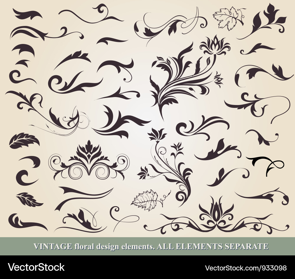 Collection floral elements Royalty Free Vector Image