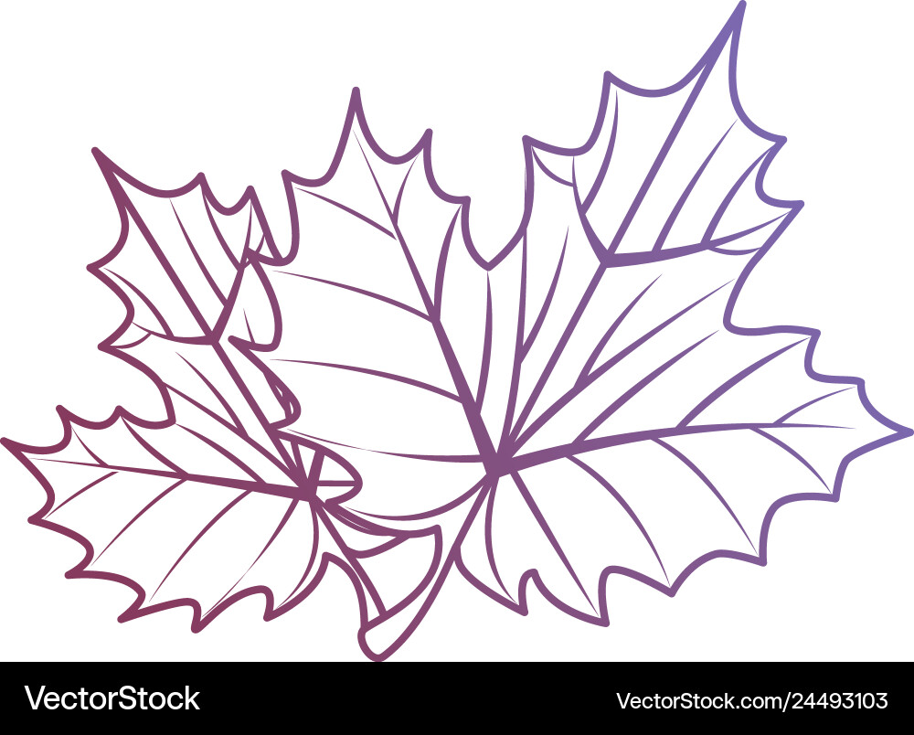 Grape leafs isolated icon Royalty Free Vector Image