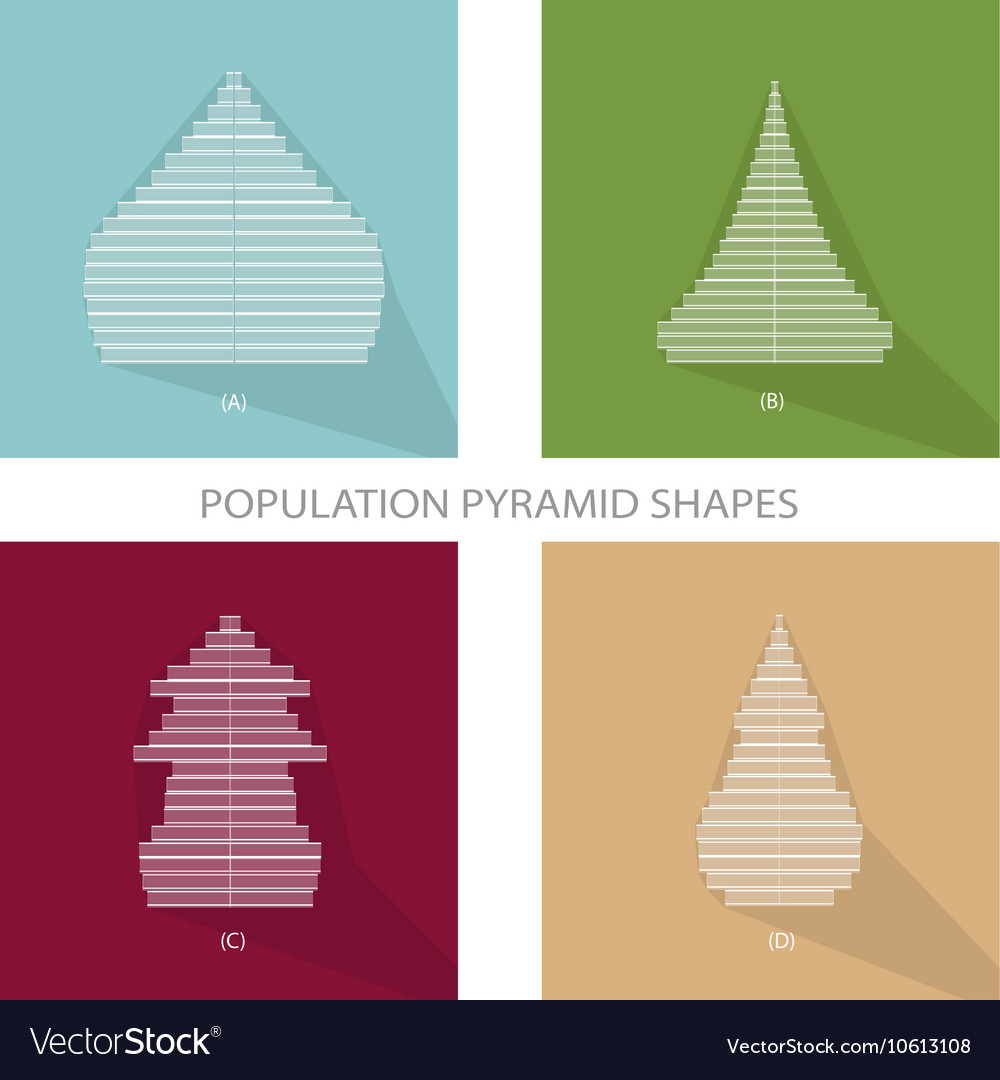 Four different types population pyramids graphs Vector Image