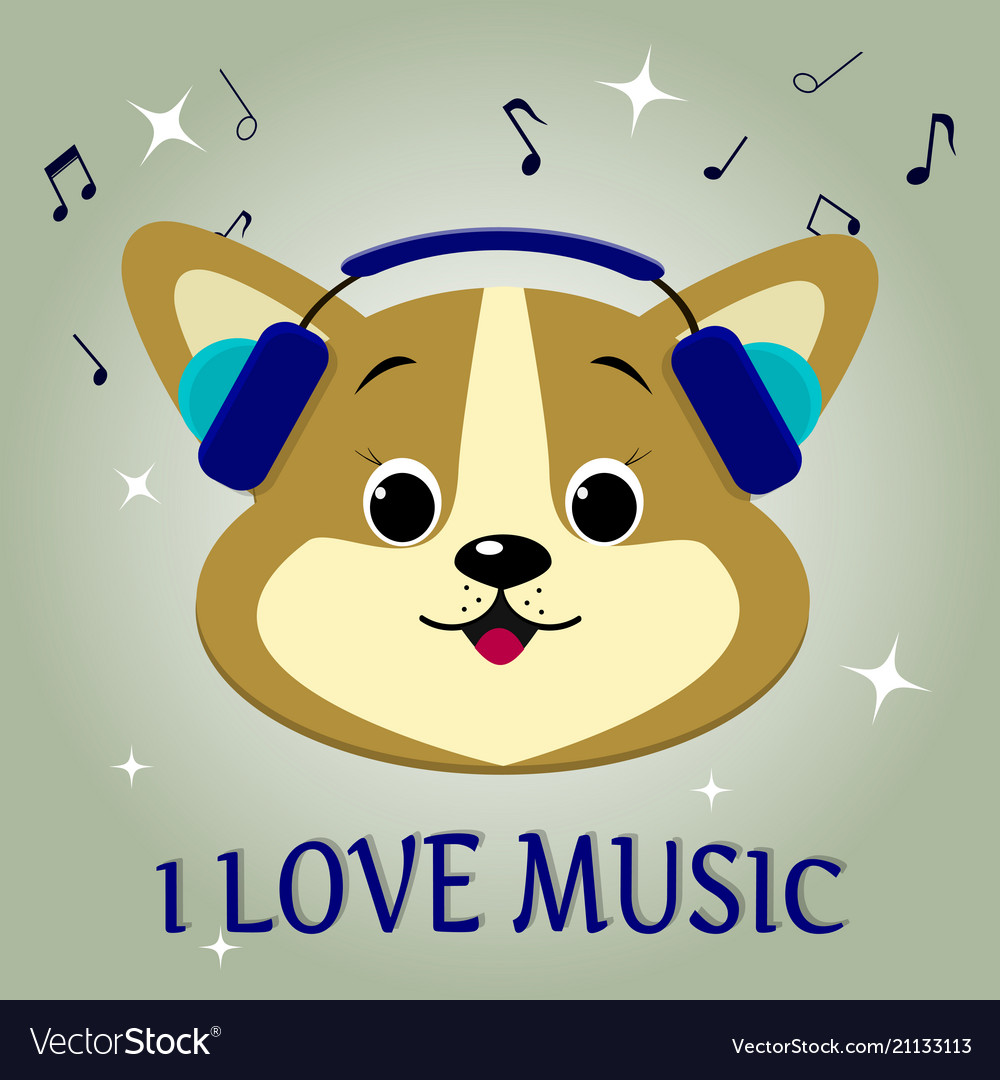 A dog is corgi musician listening to music