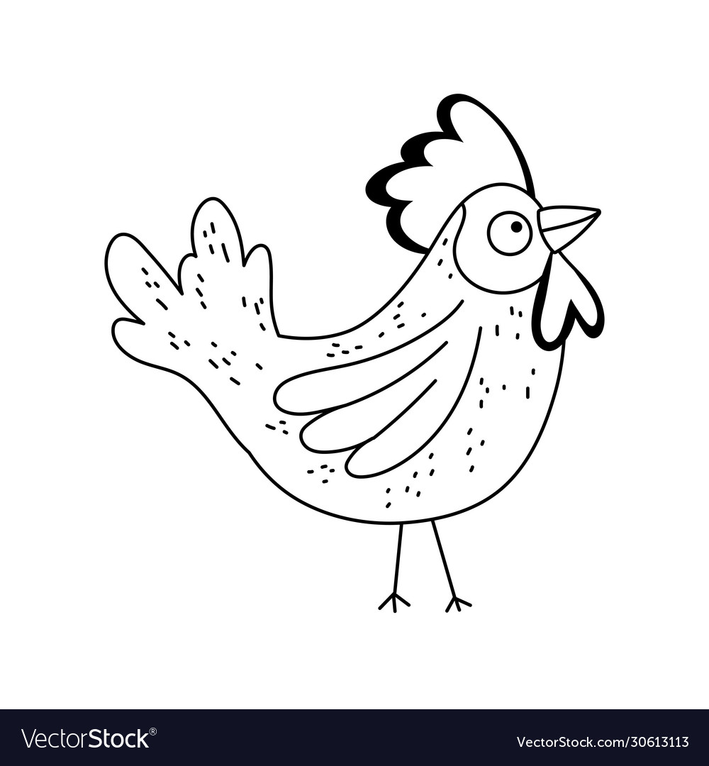 Poultry rooster cartoon farm animal isolated icon