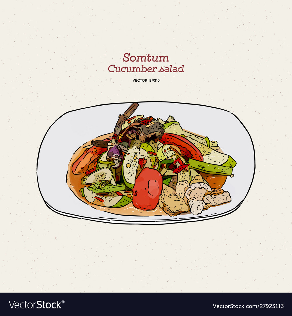 Somtum or cucumber spicy salad hand draw sketch Vector Image