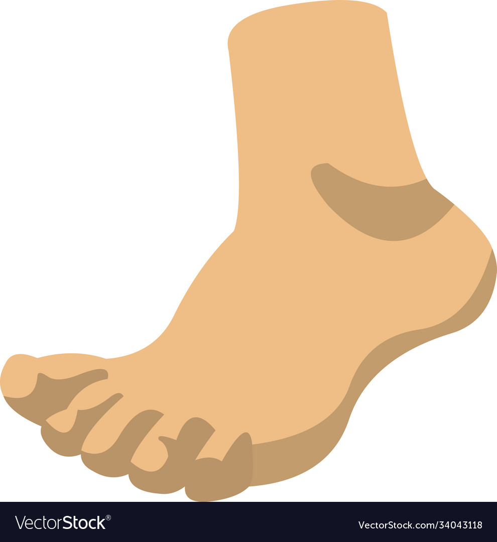 Foot Royalty Free Vector Image - VectorStock