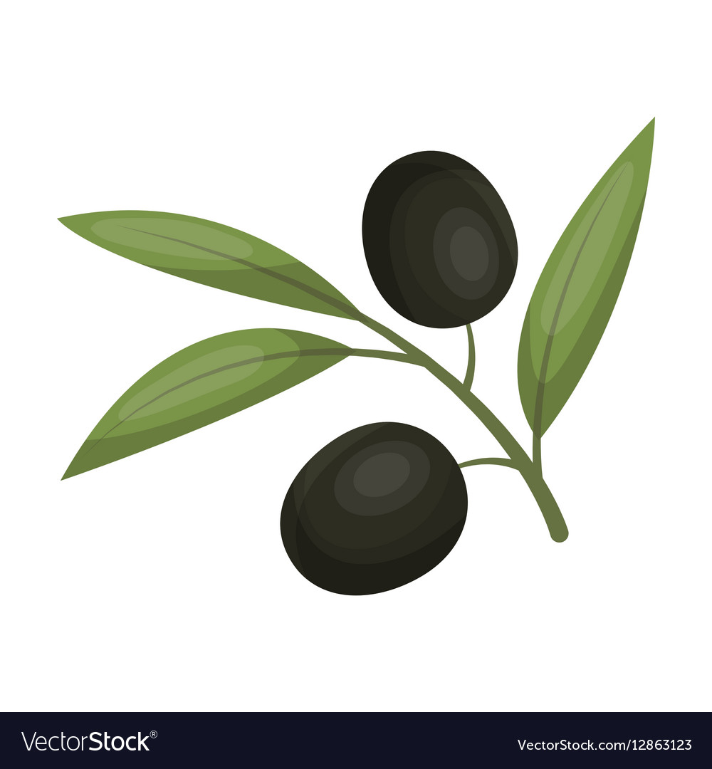 Branch of olives icon in cartoon style isolated Vector Image