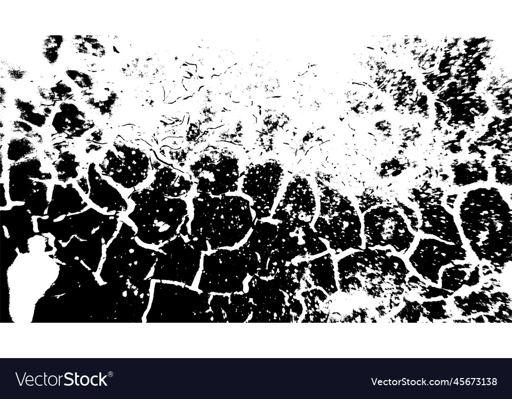 Crack texture grunge distress pattern black Vector Image