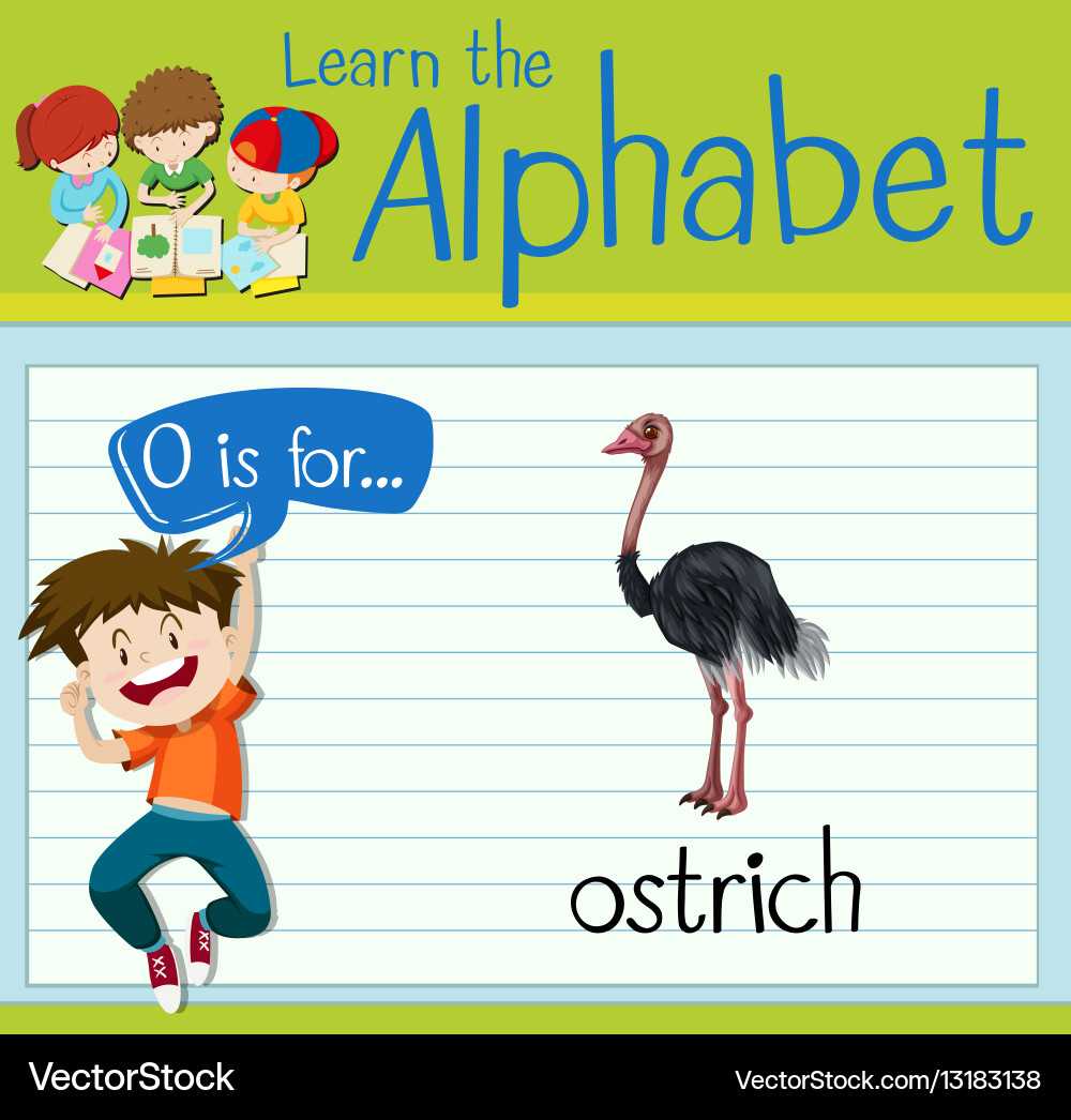 Flashcard letter o is for ostrich Royalty Free Vector Image
