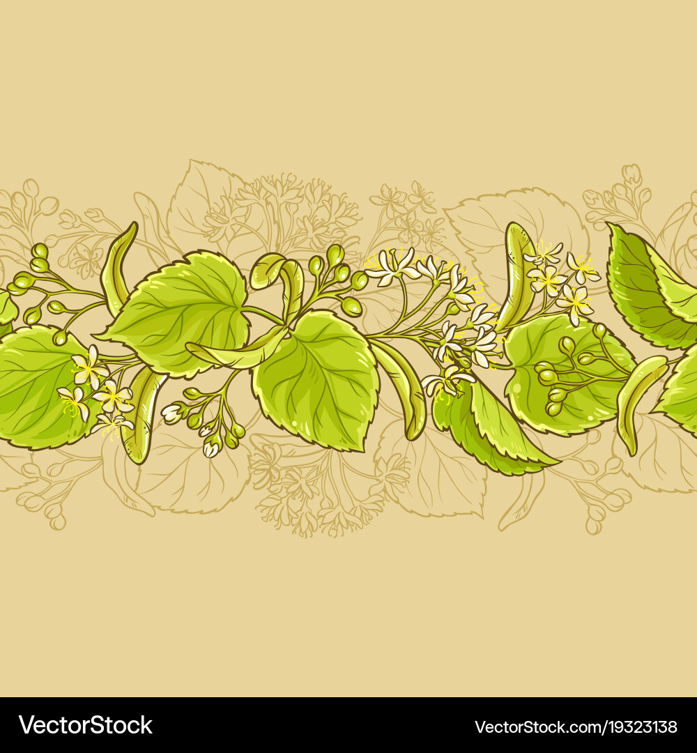 Linden horizontal pattern Royalty Free Vector Image