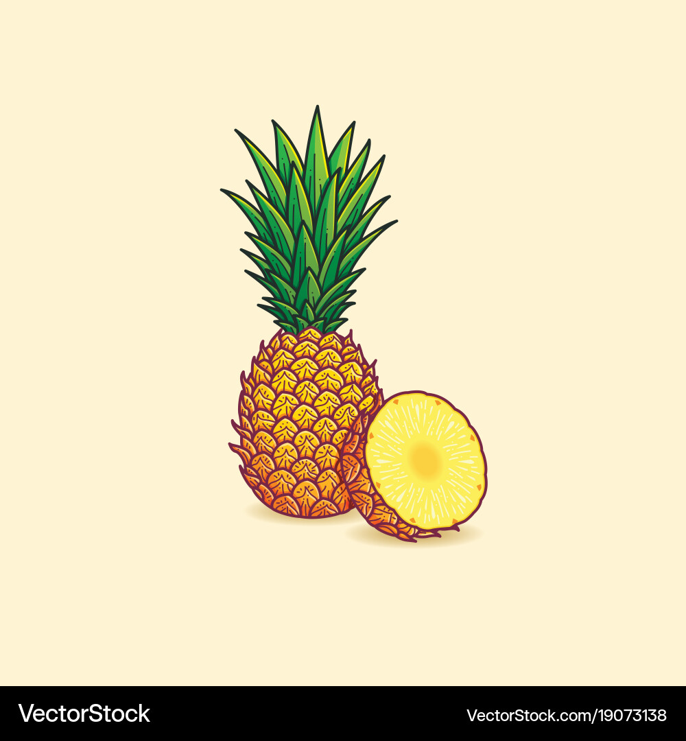 Pineapple Royalty Free Vector Image - VectorStock