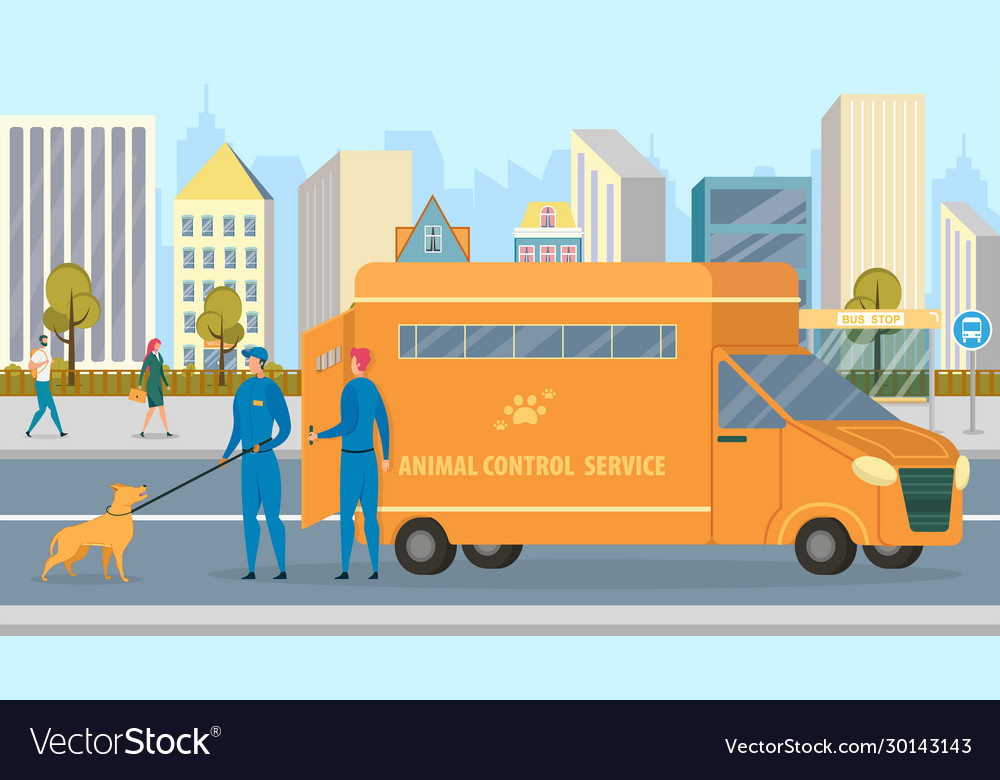 Animal control service car and workers catch dog Vector Image Animal control service car and workers catch dog Vector Image