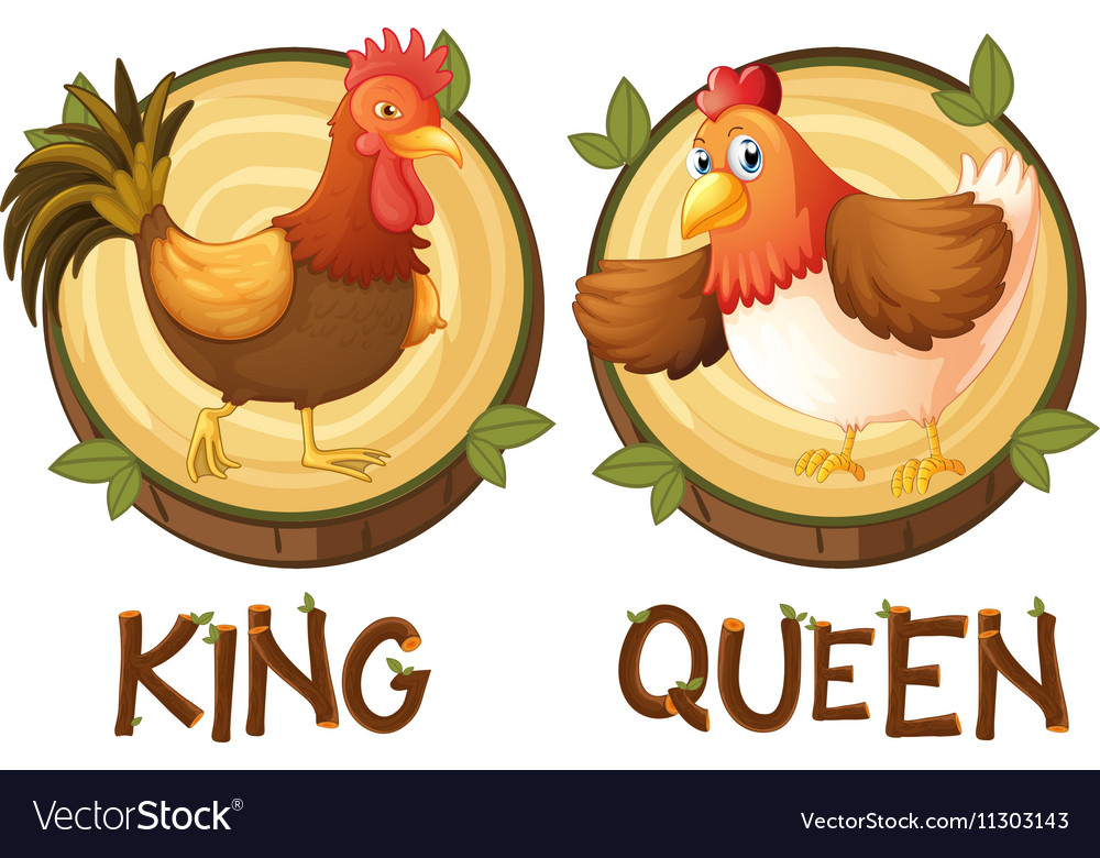 King/Queen of the Court - Chicken N Pickle