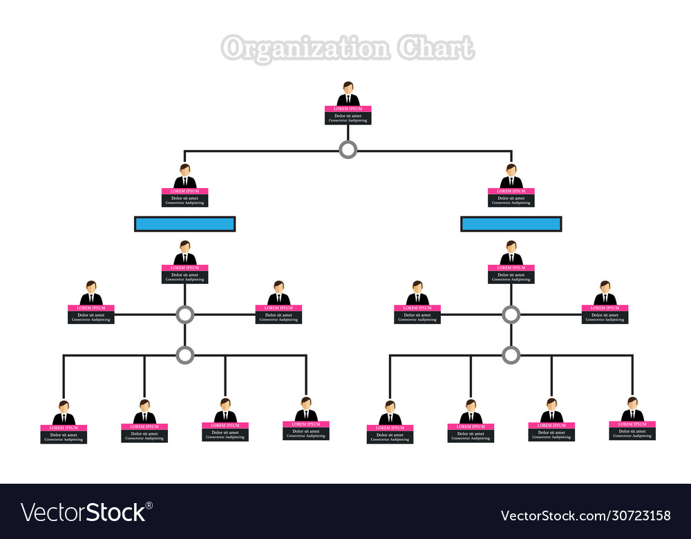 Organization chart design Royalty Free Vector Image