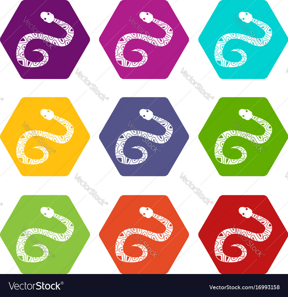 Snake icon set color hexahedron Royalty Free Vector Image