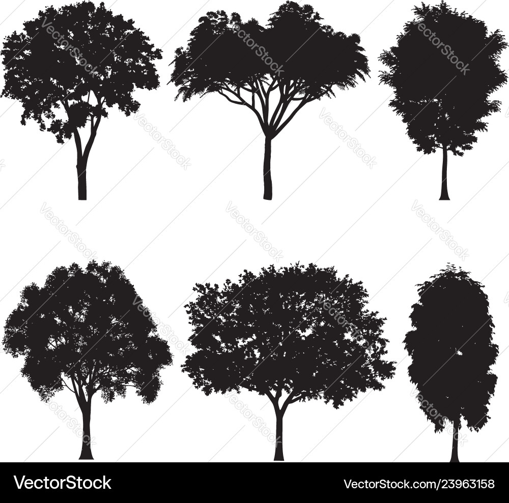 Tree silhouettes Royalty Free Vector Image - VectorStock