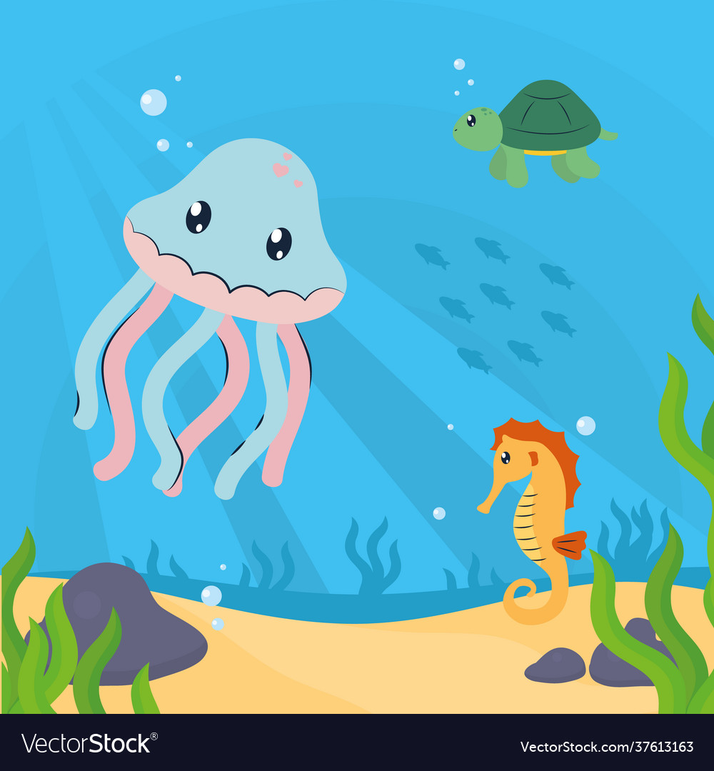 Cute marine animals Royalty Free Vector Image - VectorStock