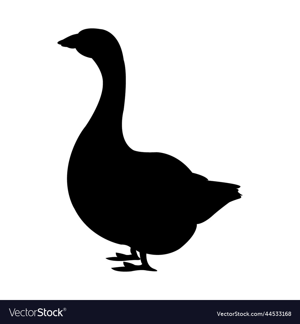 Duck silhouette Royalty Free Vector Image - VectorStock