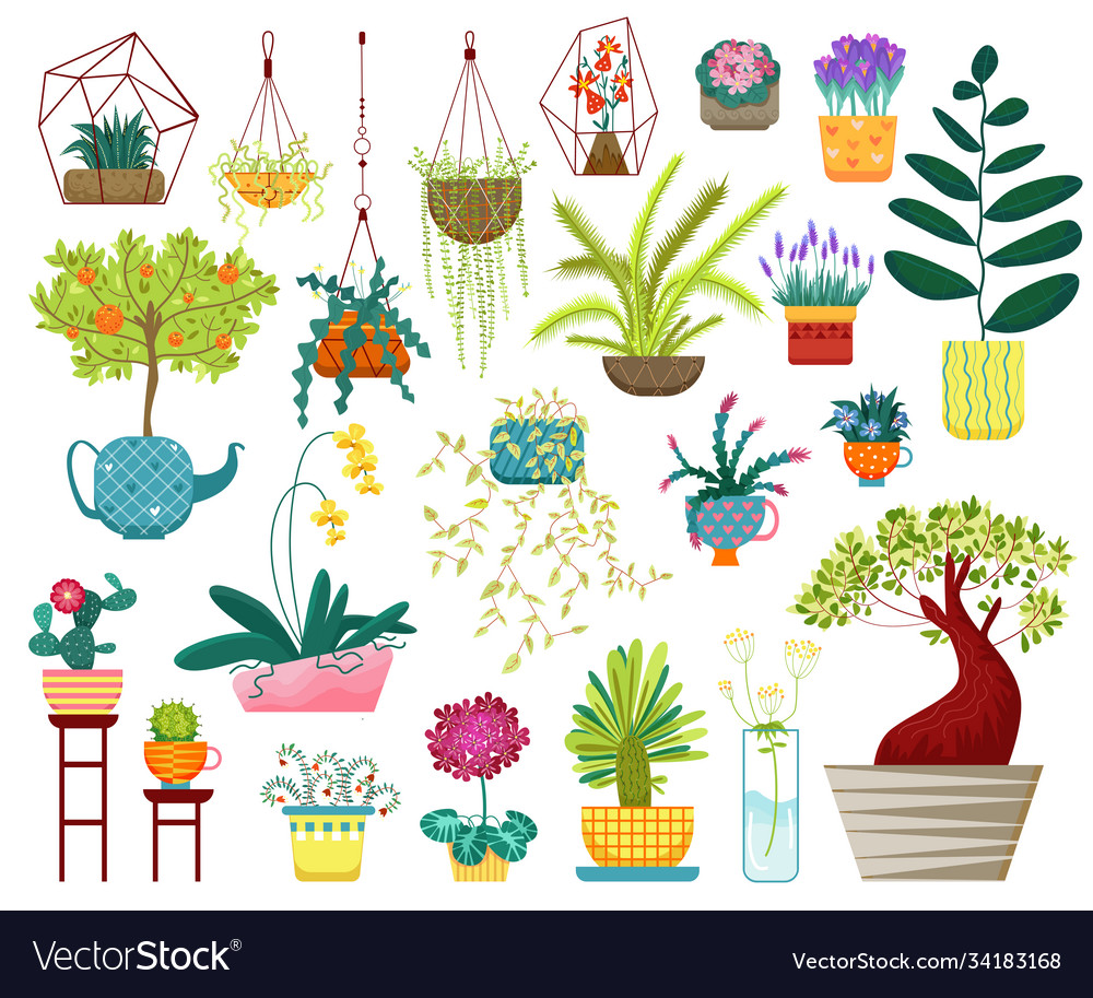 Home plants cartoon flat