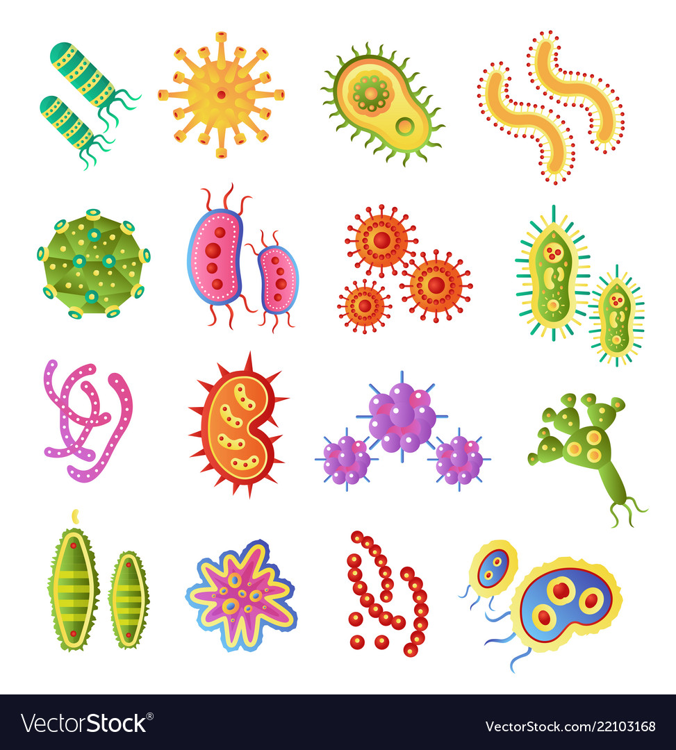 Infection bacteria and pandemic virus Royalty Free Vector