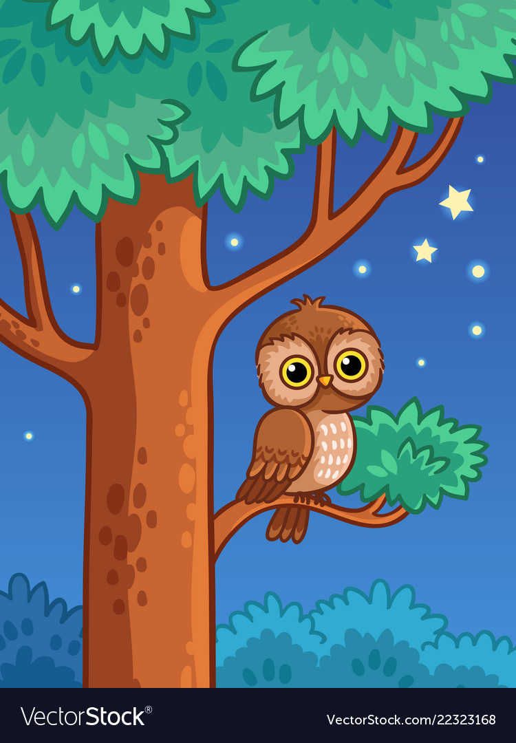 Images Of An Owl Sitting On A Tree