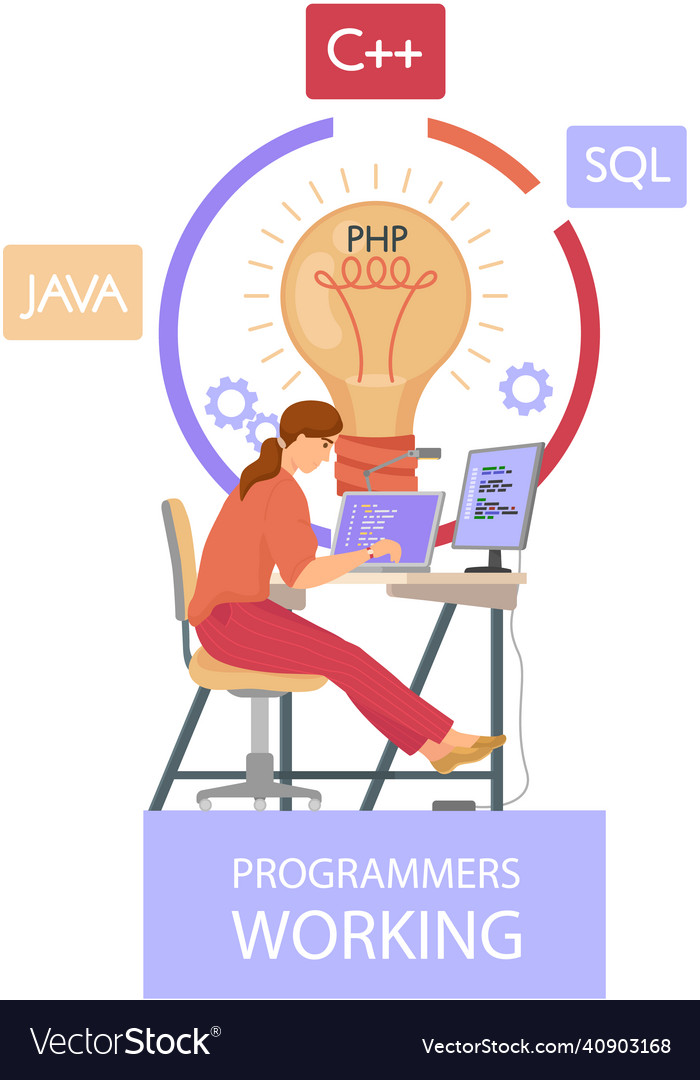 Programmer engineering and coding Royalty Free Vector Image